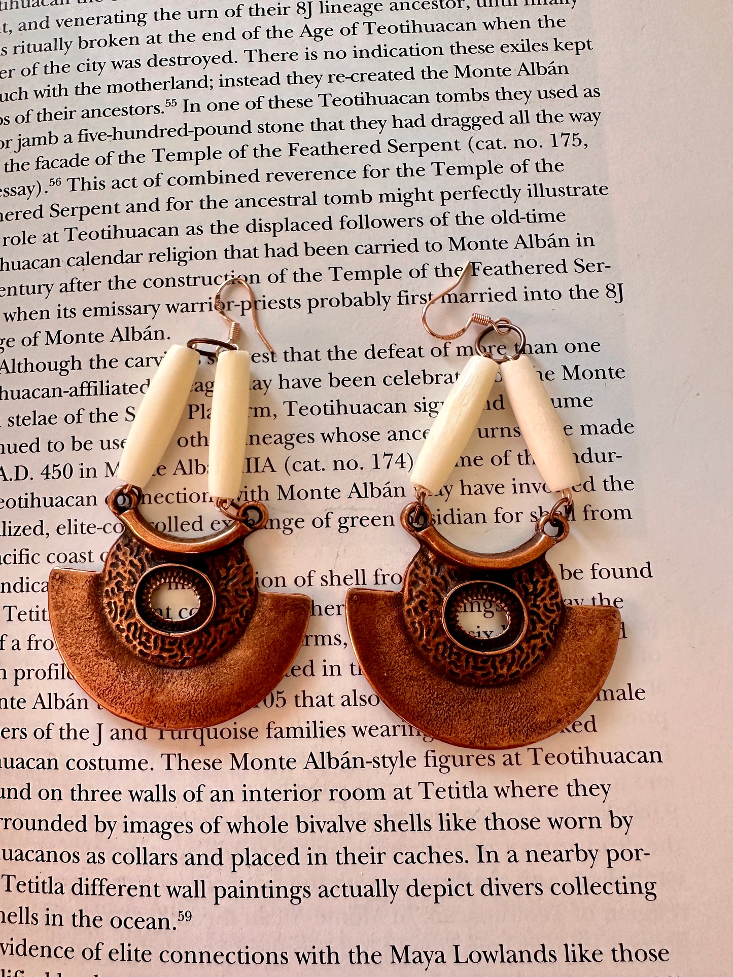 Plate and bone earrings